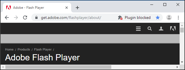 Как запустить Flash на сайте