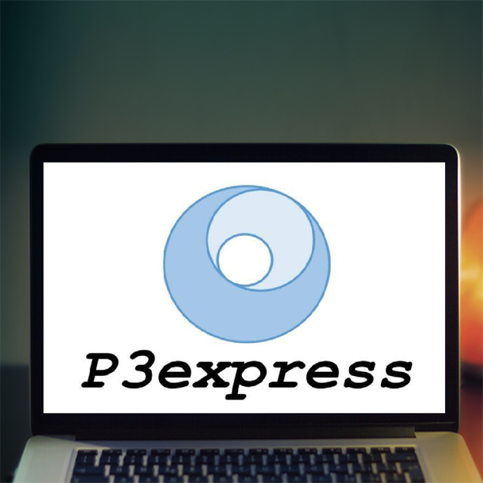 Курс «Управление проектами с P3express» от PMClub