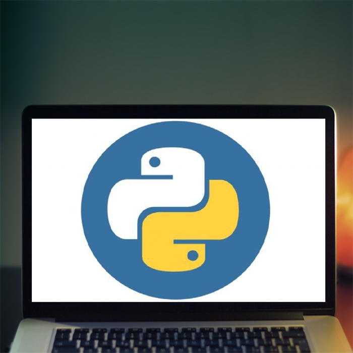 Курс «Python для начинающих программистов» от Otus