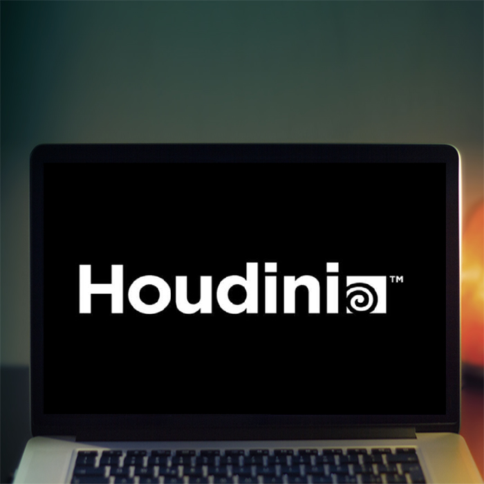 Курс «Houdini FX» от XYZ School