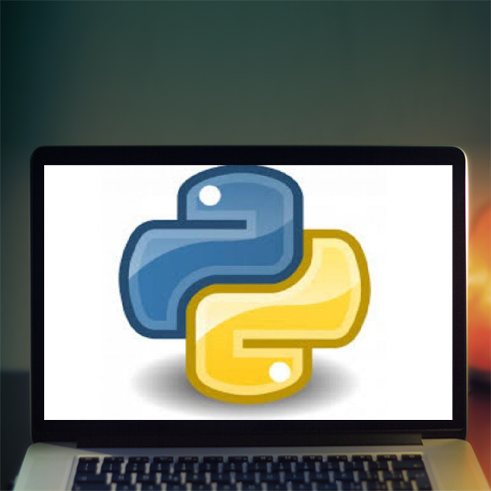 Курс «Python для веб-разработки» от SkillFactory