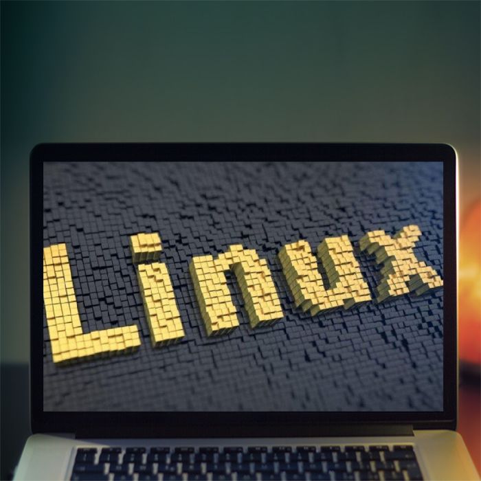 Курс «Linux/GIT/Hosting» от FructCode