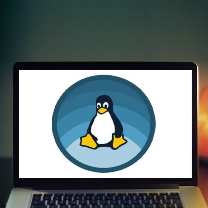 Курс «Linux. Рабочая станция» от GeekBrains