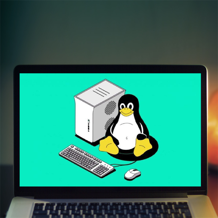Курс «Администрирование ОС Linux» от Skillbox