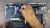 Ремонт ноутбука HP EliteBook x360 1030 G2: Чистка и замена термопасты